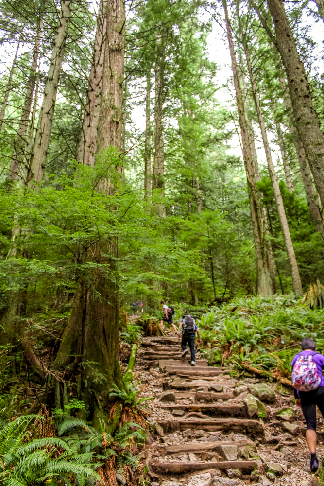 Grouse Mountain