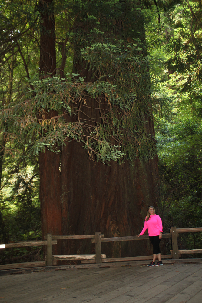 Muir Woods