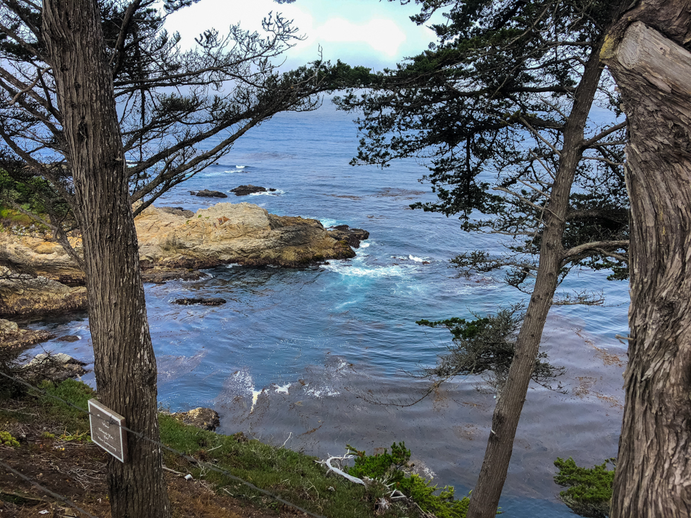 Pacific Coast Highway