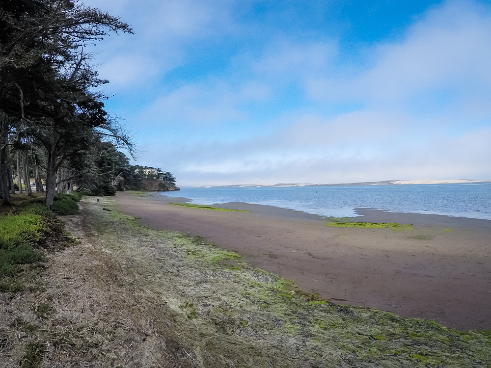 Pacific Coast Highway; Morro Bay