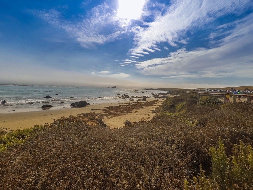 Pacific Coast Highway