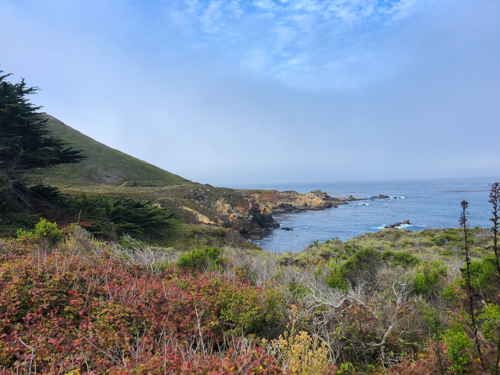 Pacific Coast Highway