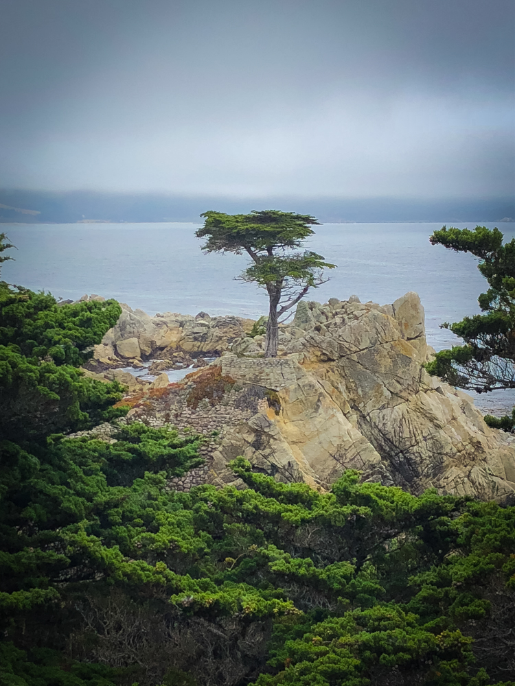 Pacific Coast Highway