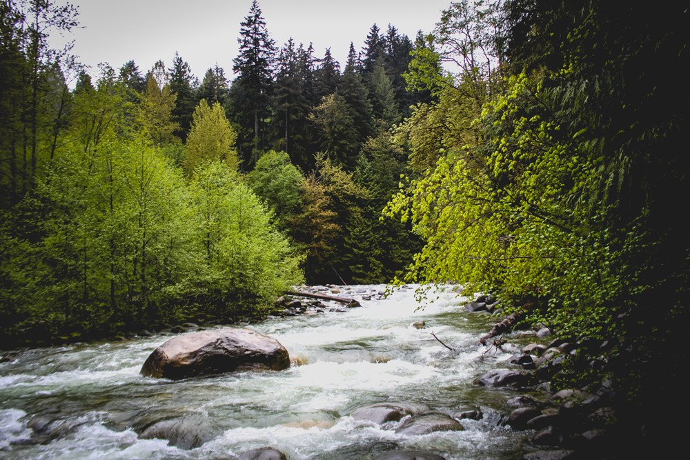 Lynn Canyon Park