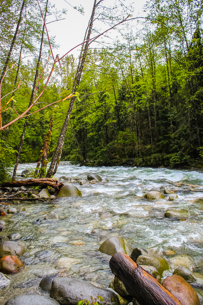 Lynn Canyon Park