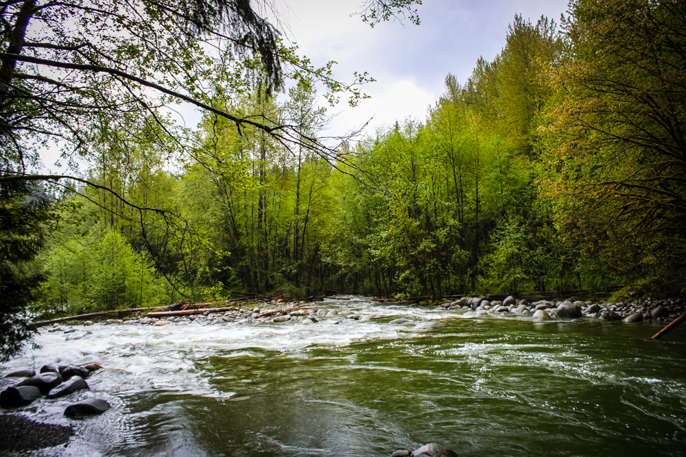 Lynn Canyon Park