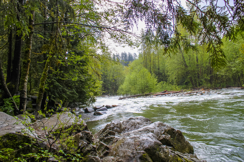 Lynn Canyon Park