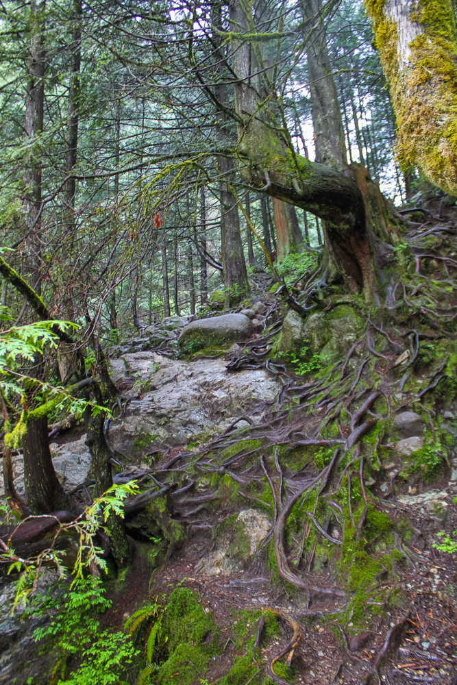 Lynn Canyon Park