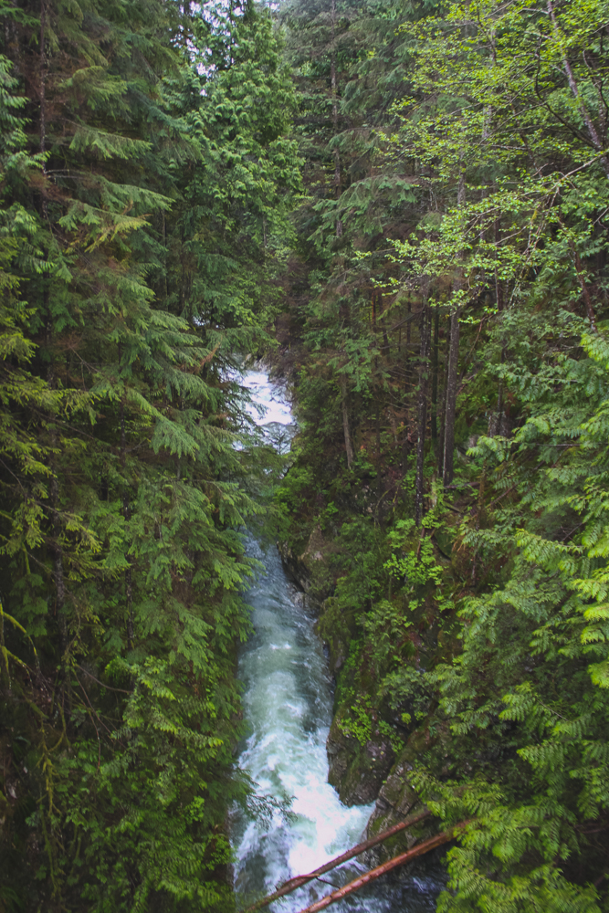 Lynn Canyon Park