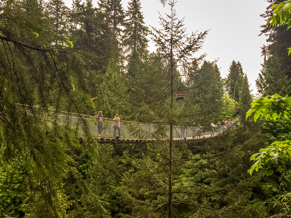 Capilano Suspension Bridge