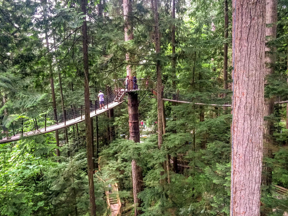 Capilano Suspension Bridge