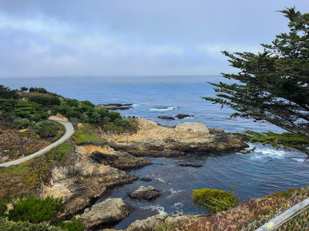 Pacific Coast Highway