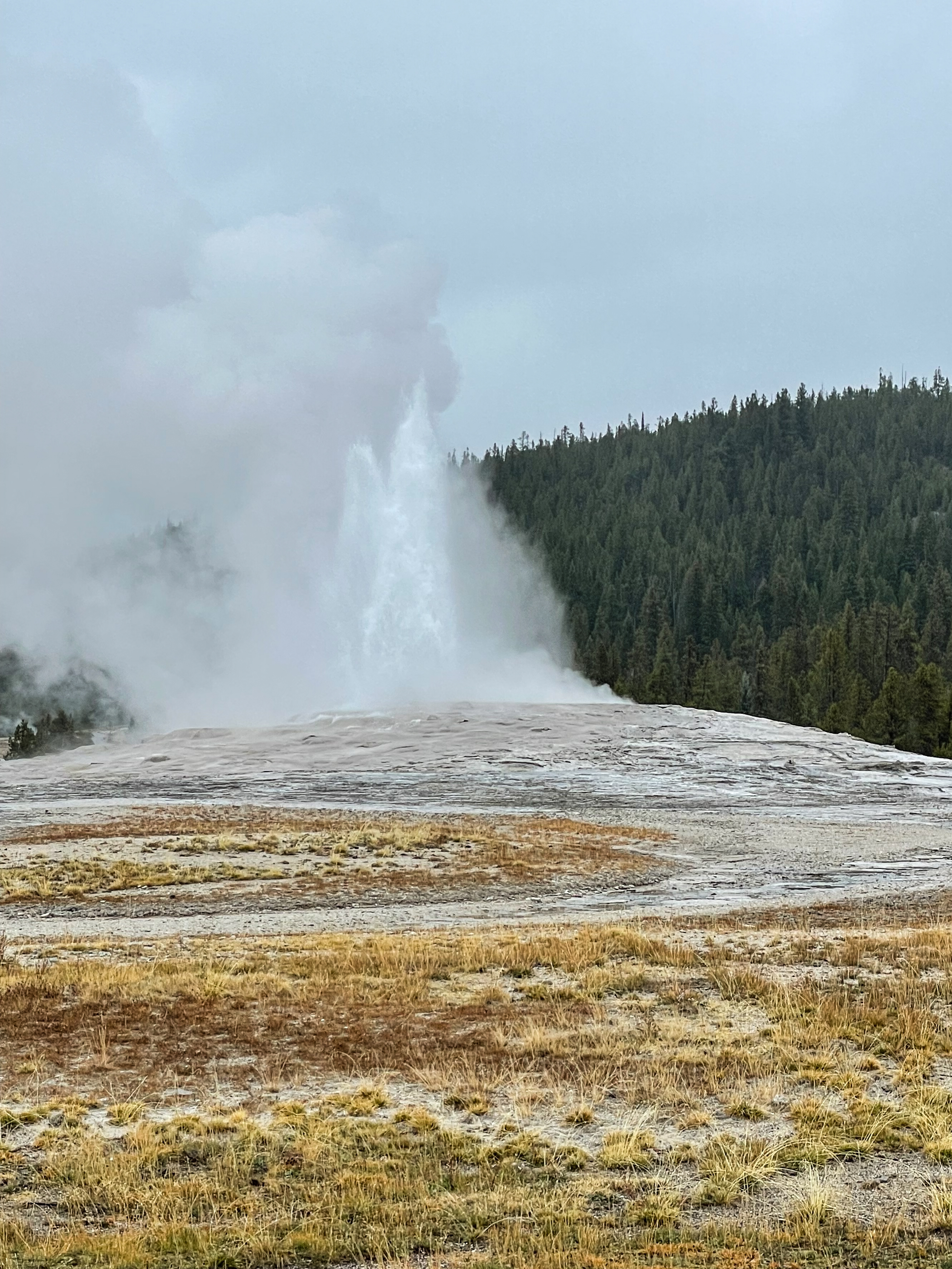 Yellowstone National Park