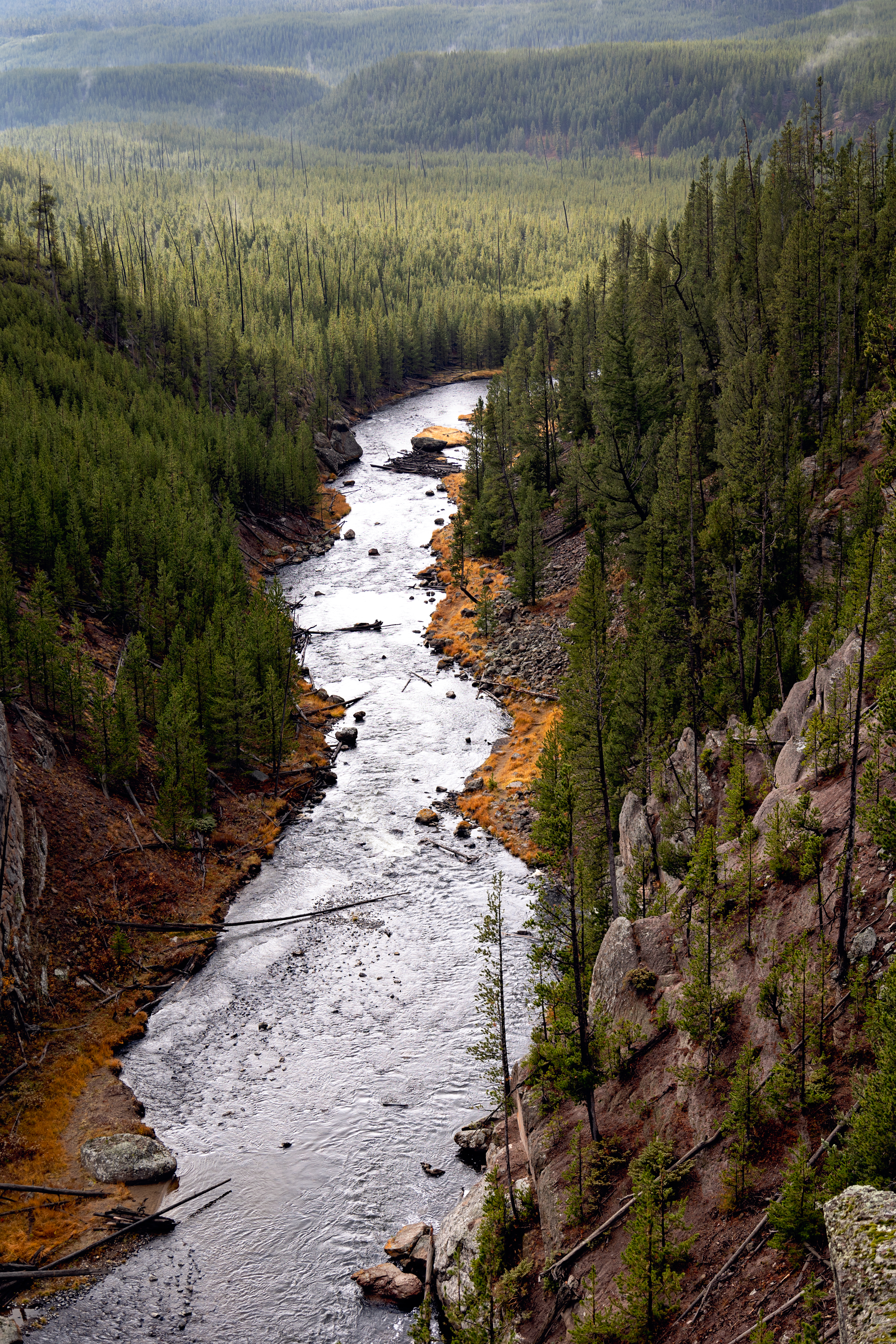 Yellowstone National Park