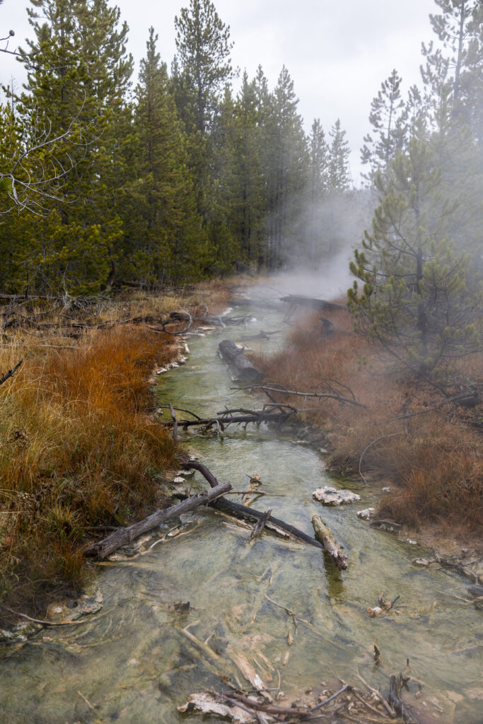 Yellowstone National Park