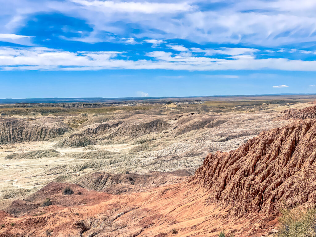 Petrified Forest