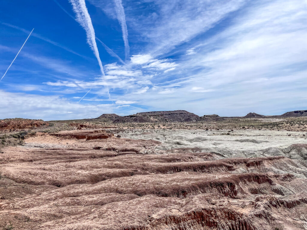 Petrified Forest