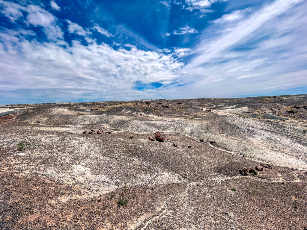 Petrified Forest