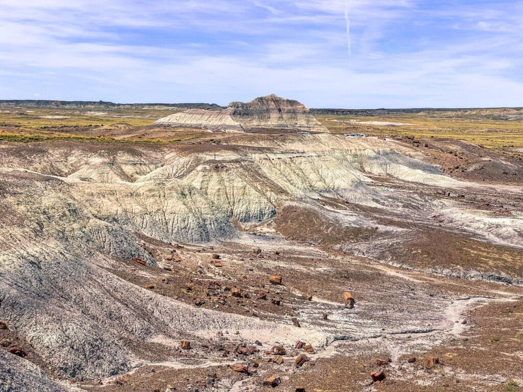 Petrified Forest