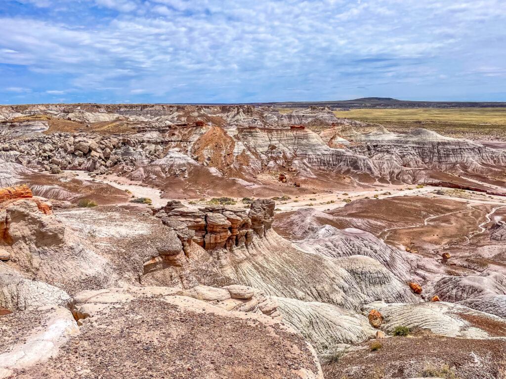 Petrified Forest