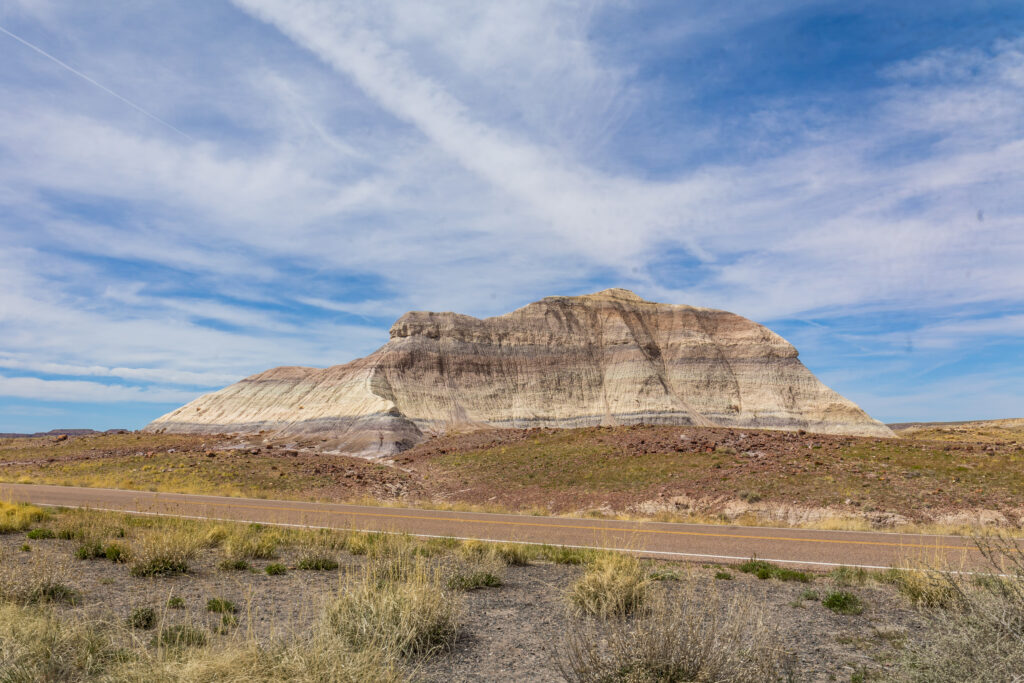 Petrified Forest