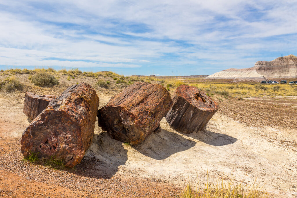 Petrified Forest