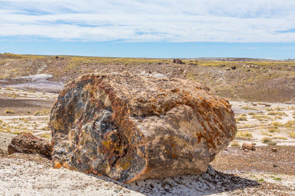 Petrified Forest