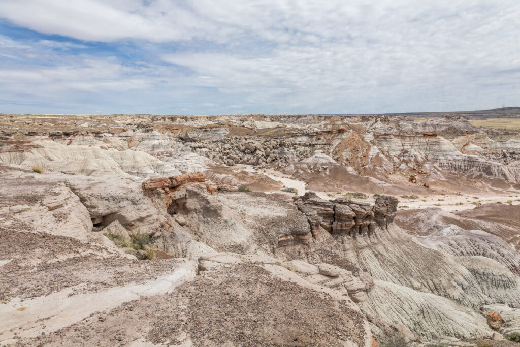 Petrified Forest