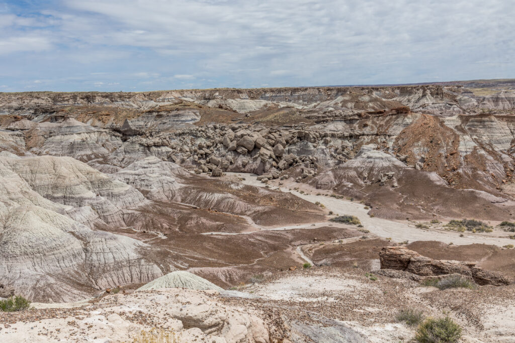 Petrified Forest