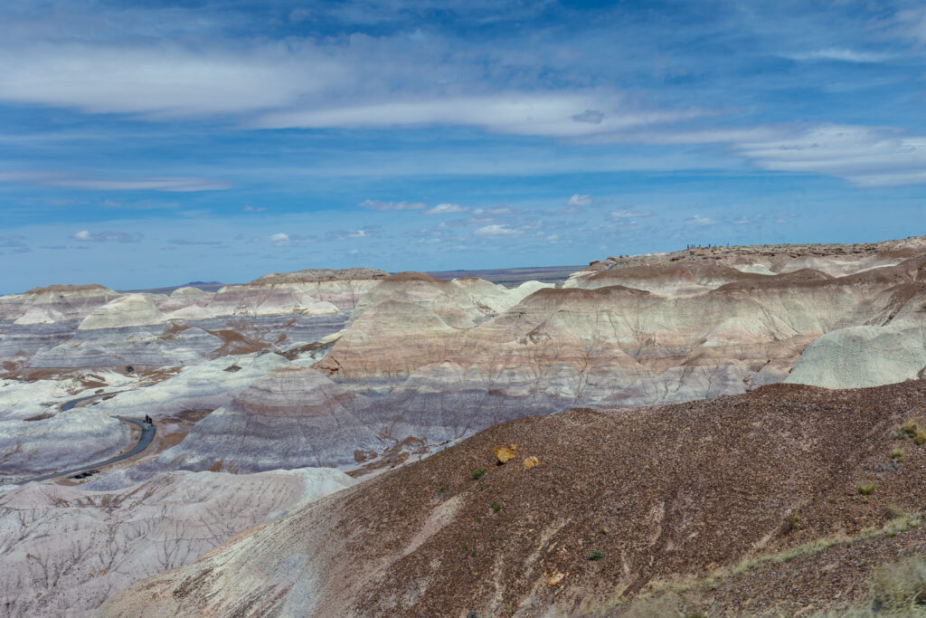 Petrified Forest