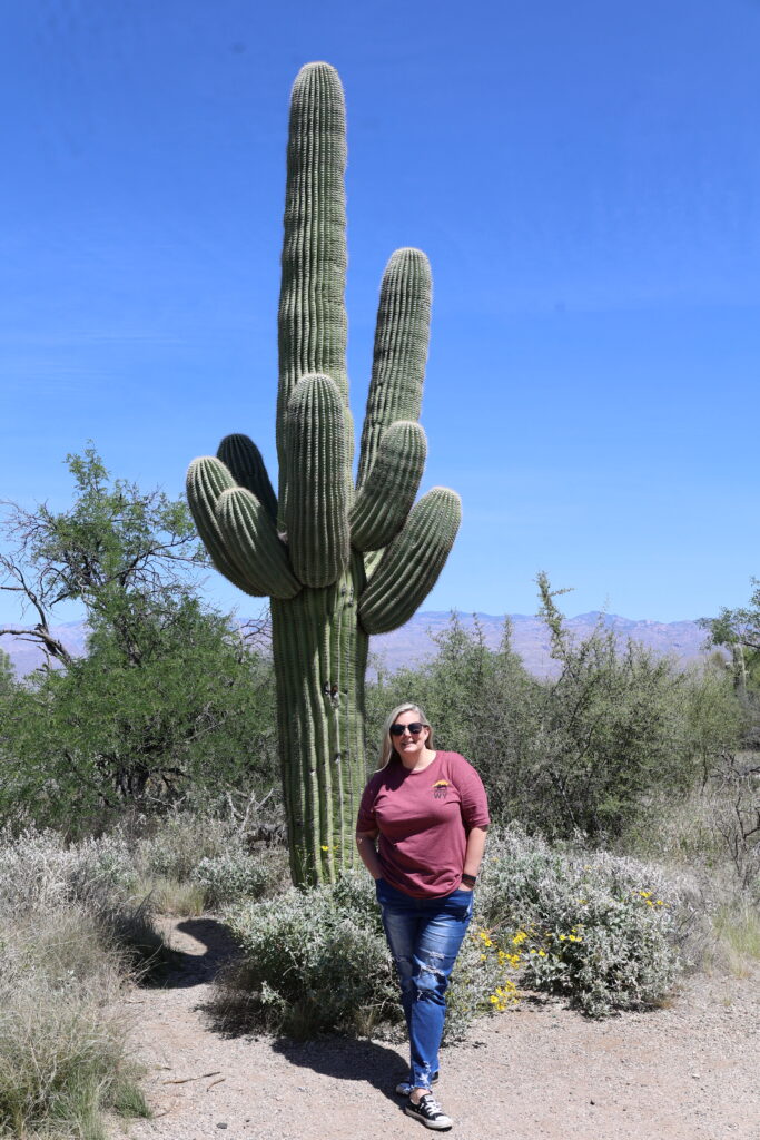 Saguaro National Park