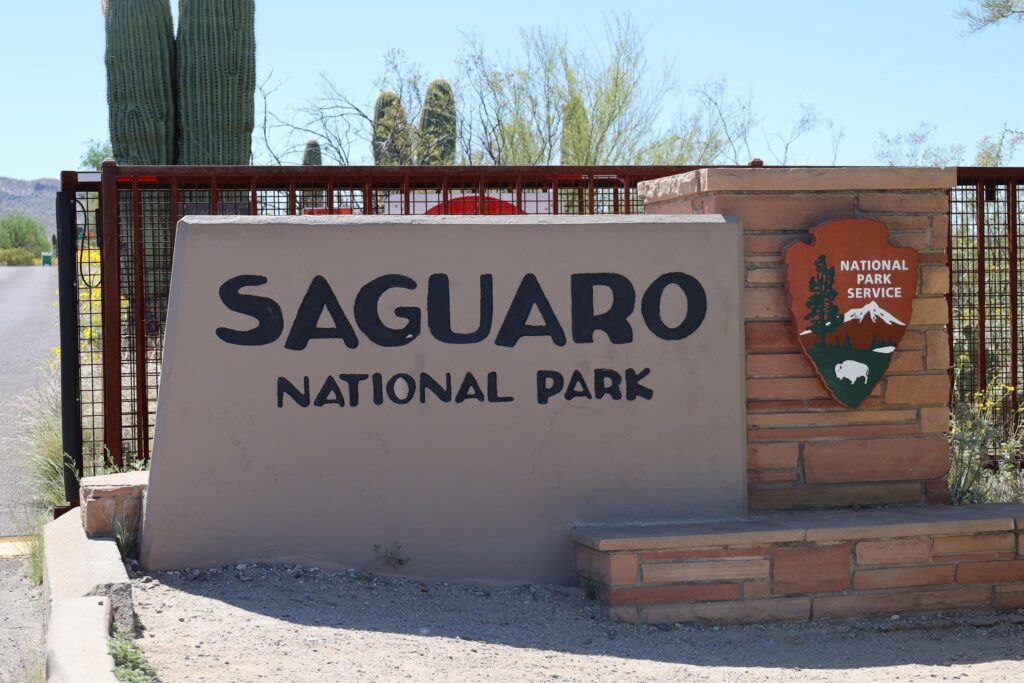 Saguaro National Park