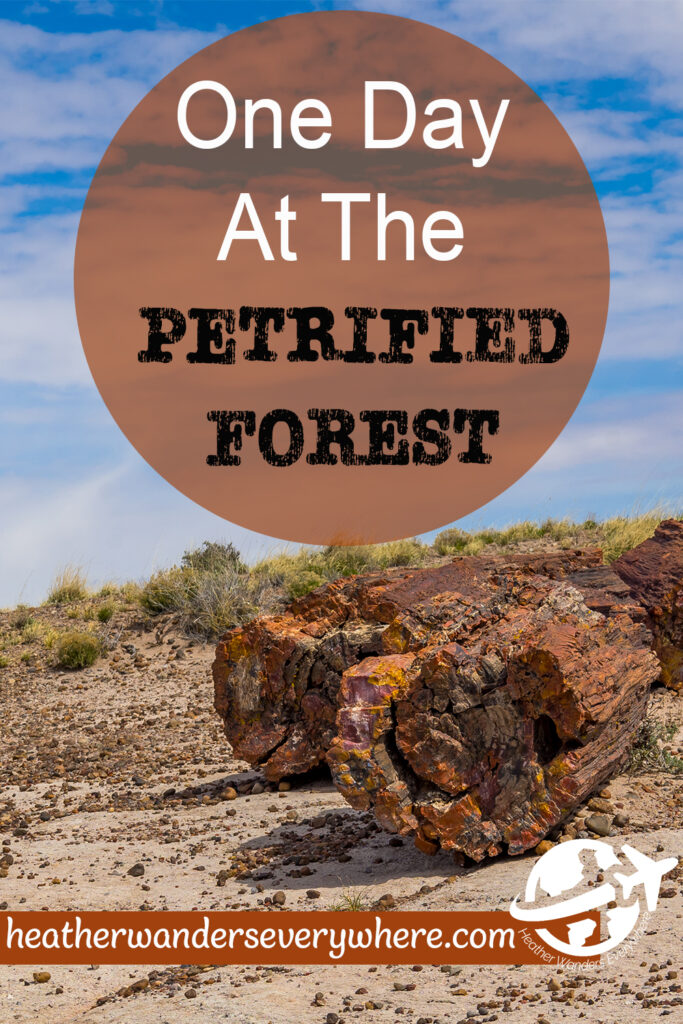 Journey Through Time: One Day at Petrified Forest National Park