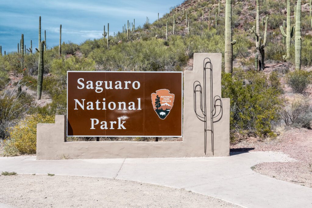 Saguaro National Park