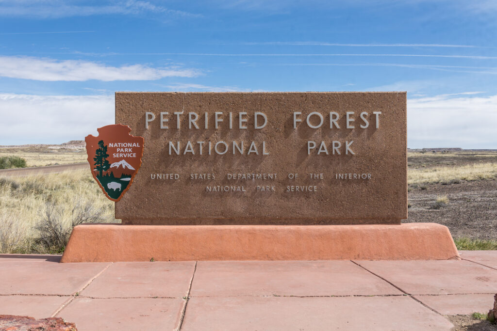 Petrified Forest