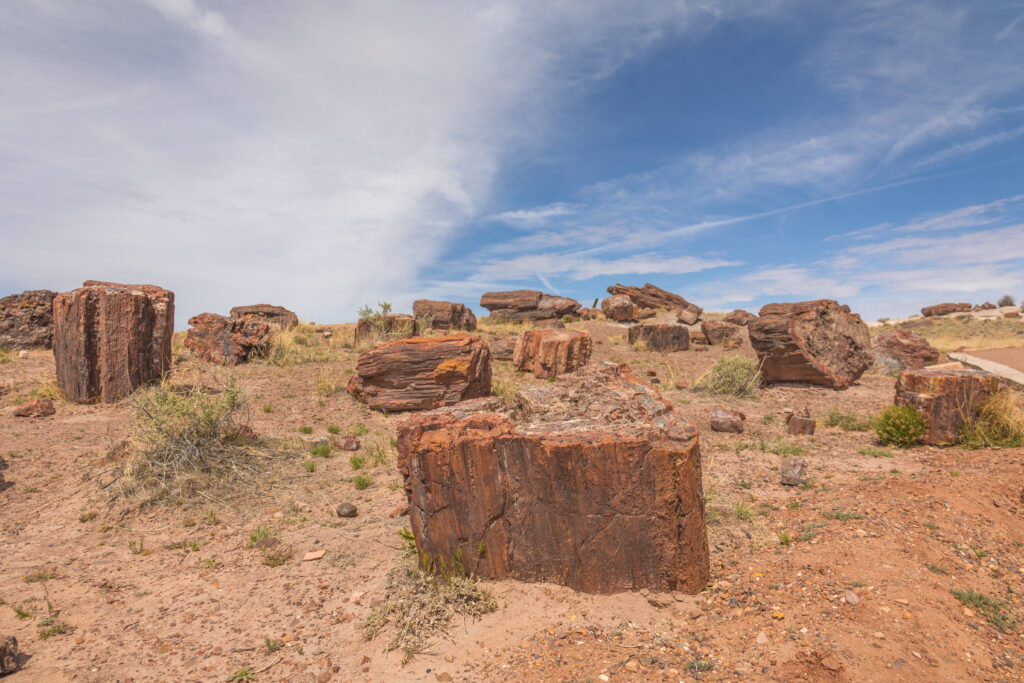 Petrified Forest