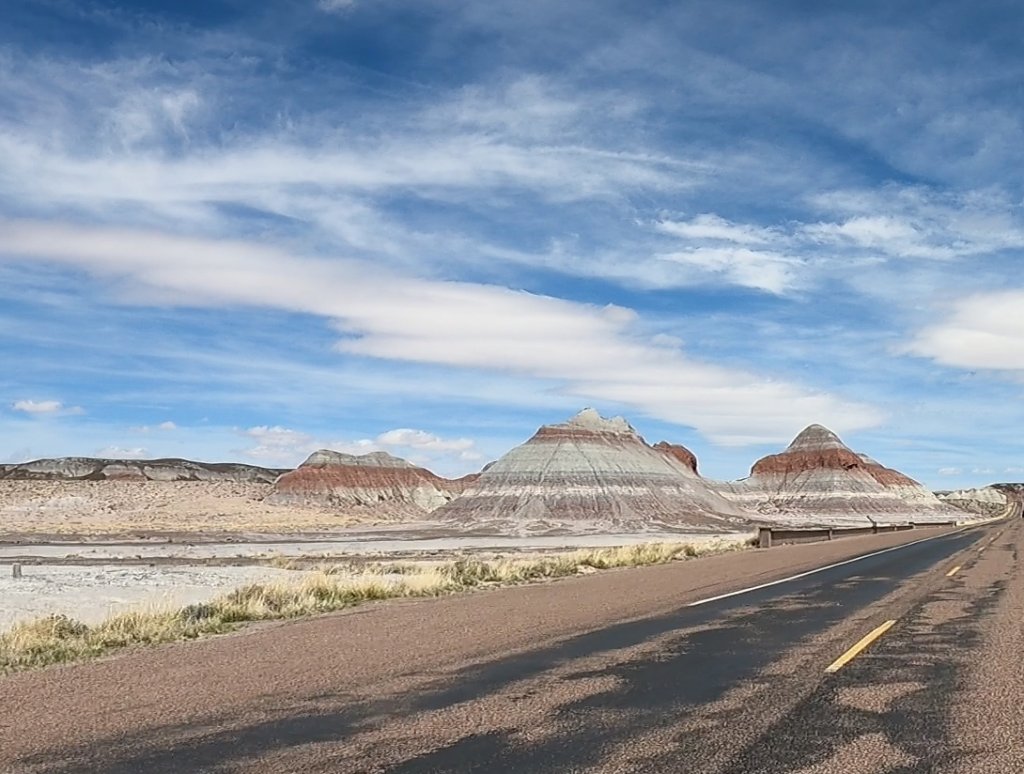 Petrified Forest