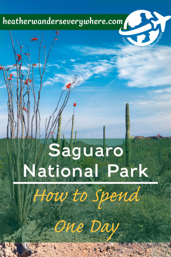 West Saguaro National Park: How to Spend 1 Day