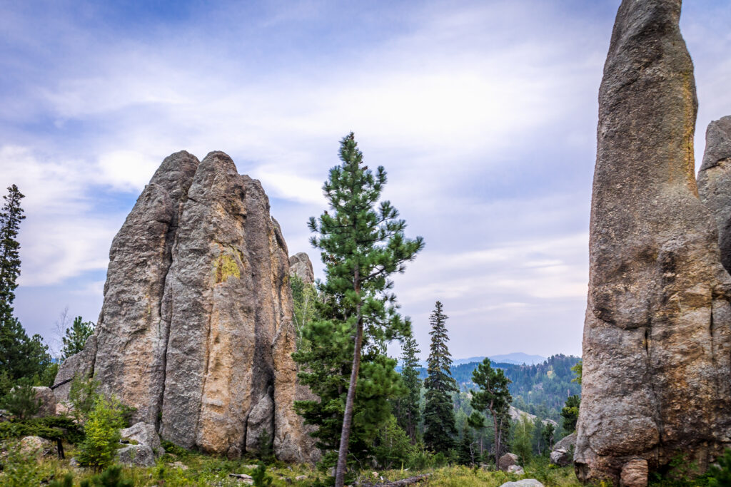 Needles Highway
