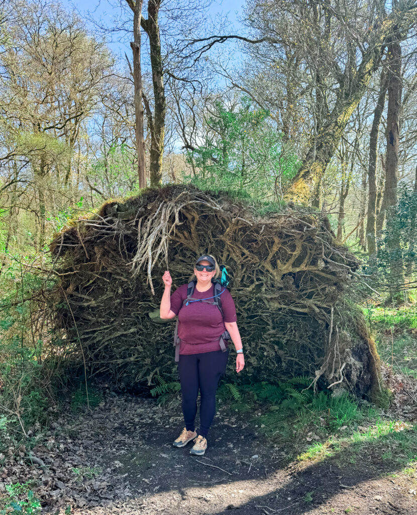 West Highland Way