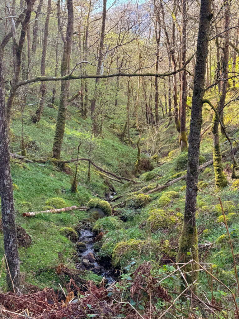 West Highland Way