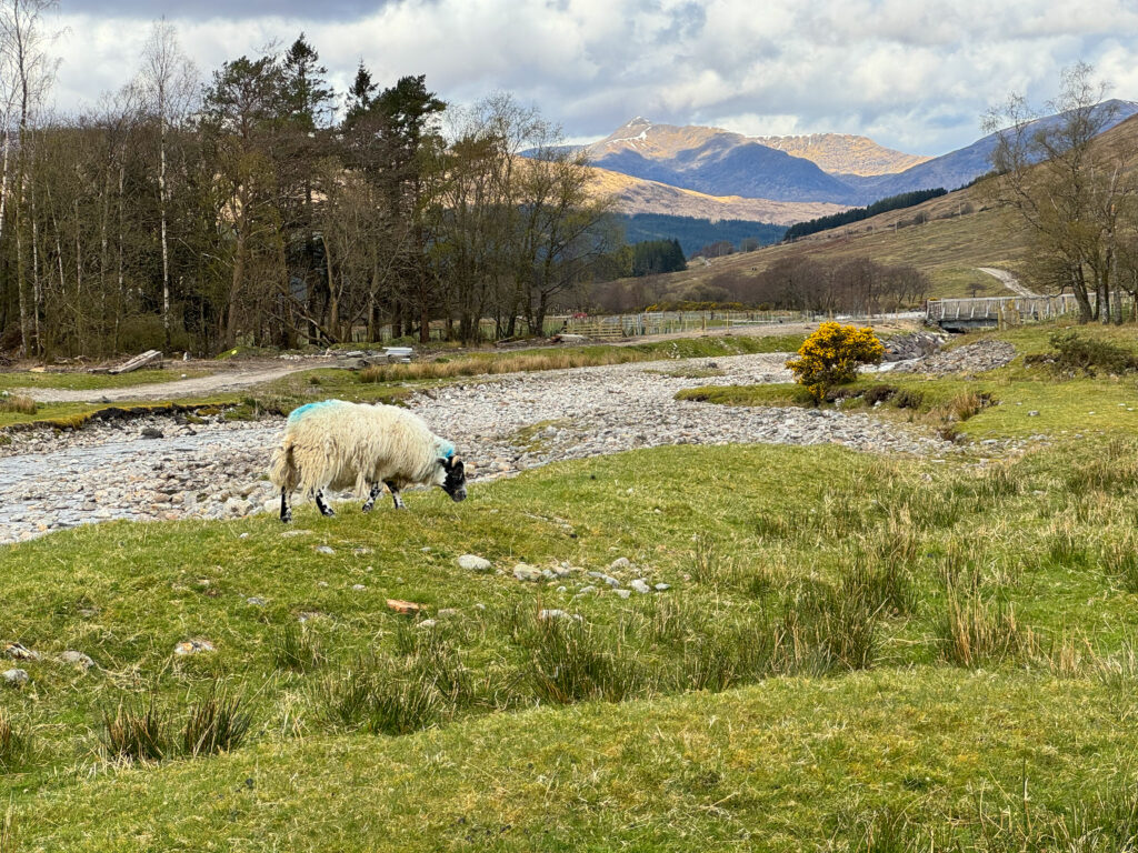 West Highland Way