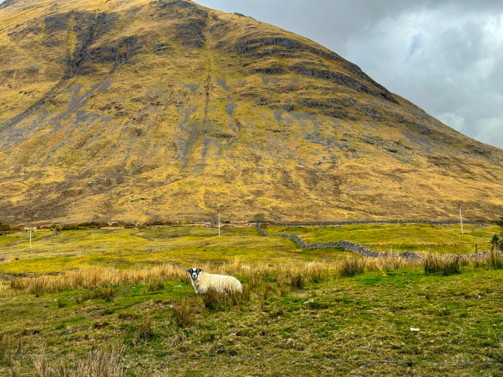 West Highland Way