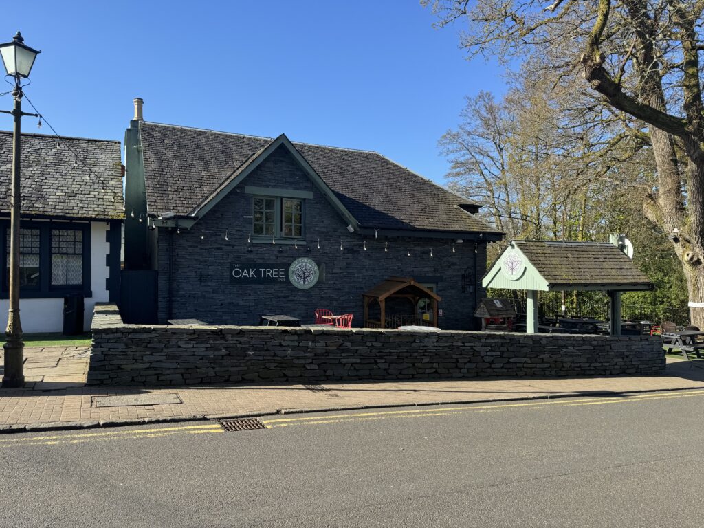 Oak Tree In in Balmaha along the West Highland Way