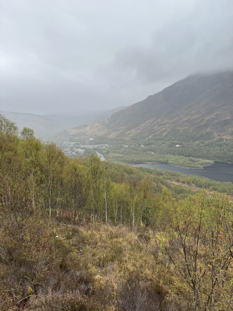 Views along the West Highland Way